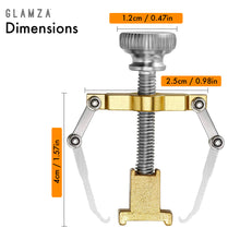 Load image into Gallery viewer, Ingrown Toenail Corrector Clamp – Professional Relief & Nail Reshaping Tool