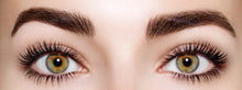 Load image into Gallery viewer, Phoera 9D High Definition Mascara | Long-Lasting Volume & Length | Free UK Postage