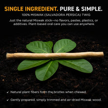 Load image into Gallery viewer, Groomarang Miswak 2 Pack - Natural 'On the Go' Teeth Cleaning