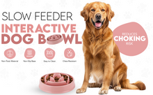 Load image into Gallery viewer, Generise Slow Feeder Dog Bowl
