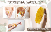 Load image into Gallery viewer, Glamza Dry Body Bristle Brush – Exfoliate, Detox &amp; Glow | Free UK Delivery