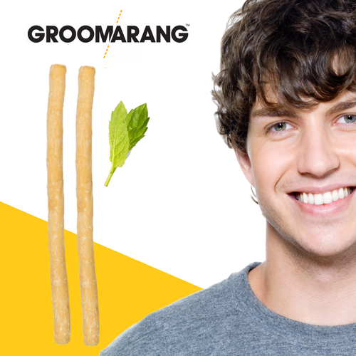 Groomarang Miswak 2 Pack - Natural 'On the Go' Teeth Cleaning