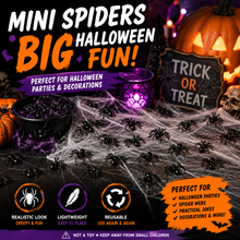 Load image into Gallery viewer, Halloween Spiders – Small Realistic Black Creepy Crawly Party Decorations