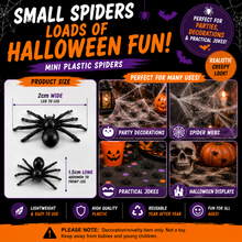 Load image into Gallery viewer, Halloween Spiders – Small Realistic Black Creepy Crawly Party Decorations