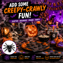 Load image into Gallery viewer, Halloween Spiders – Small Realistic Black Creepy Crawly Party Decorations
