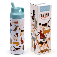 Load image into Gallery viewer, Puckator Feline Fine Cats Hot &amp; Cold Flip Top Straw Drinks Bottle 500ml