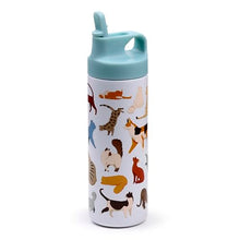 Load image into Gallery viewer, Puckator Feline Fine Cats Hot &amp; Cold Flip Top Straw Drinks Bottle 500ml