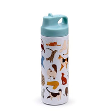Load image into Gallery viewer, Puckator Feline Fine Cats Hot &amp; Cold Flip Top Straw Drinks Bottle 500ml