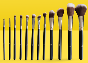 12pc Professional iB Makeup Brush Sets