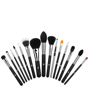 15pc IB Professional Brush Set in Luxury Book Case