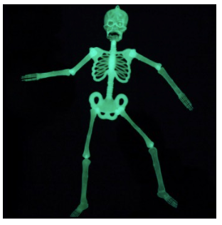 Halloween Hanging Glow In The Dark Skeleton